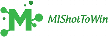 logo mishottowin